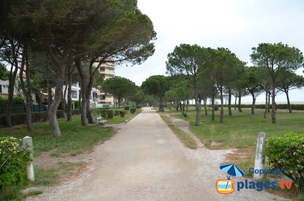 Promenade piétonne le long de la plage des Pins