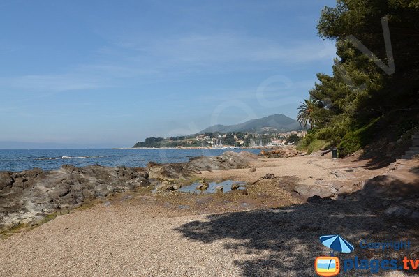 Beach near port of Salettes in Carqueiranne - Pins Penchés