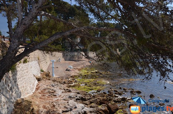 Photo de la plage des Pins Penchés de Carqueiranne