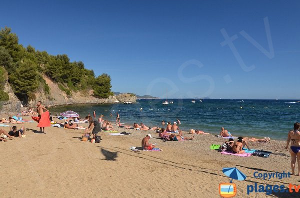 Plage à La Mitre proche de la Tour Royale