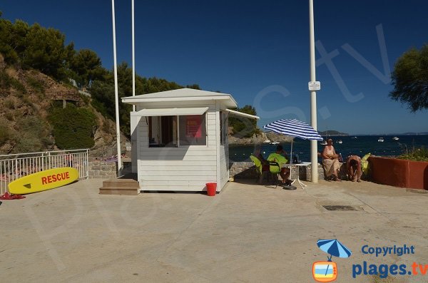 Spiagge sorvegliate a Tolone