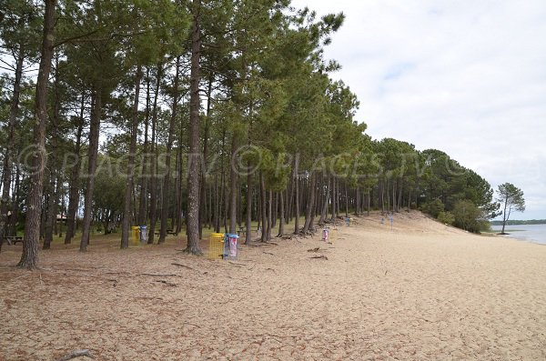 Picnic tables around Hourtin lake