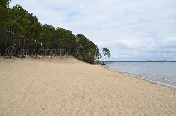 Spiaggia di Piqueyrot - lago di Hourtin