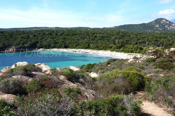 Spiaggia di Pisciu Cane - Punta Ventilegne