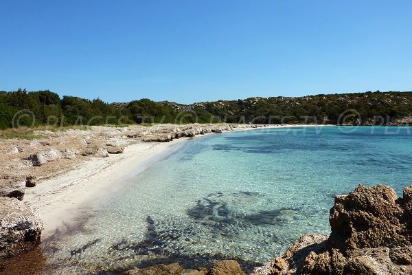 Plage de Pisciu Cane dans le golfe de Ventilegne - Corse