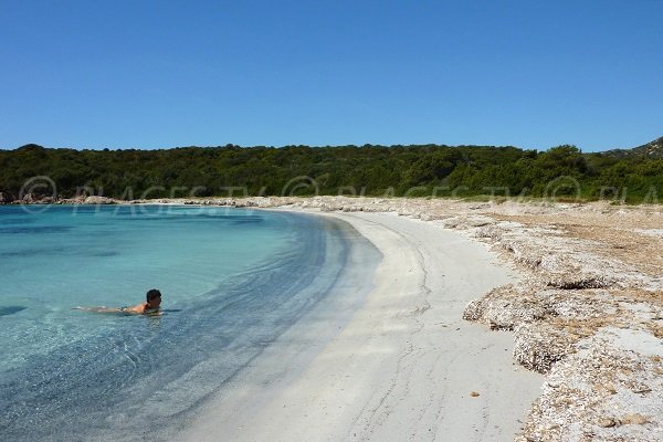 Baignade dans le golfe de Ventilegne entre Figari et Bonifacio