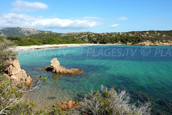 Photo of Pisciu Cane beach in Bonifacio in Corsica