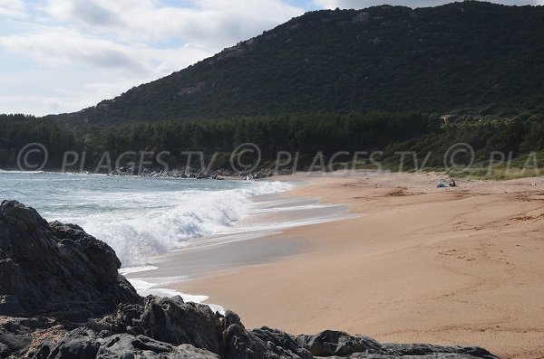 Plage de sable à Usciapa - Olmeto