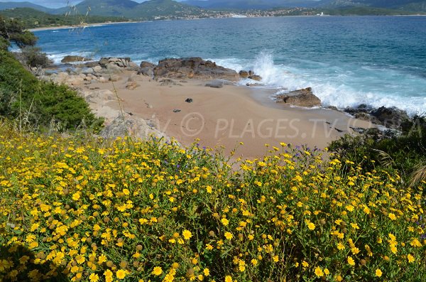 Cove of Piscona in Olmeto