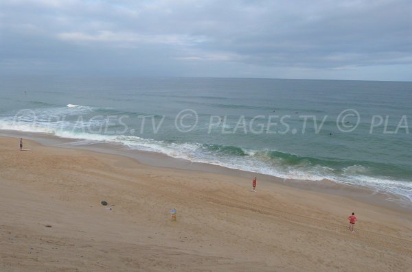 Wild beach in Capbreton