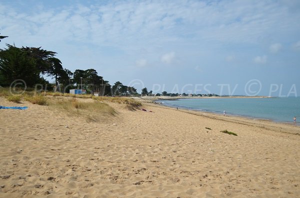 Photo of Planginot beach in La Brée les Bains in France