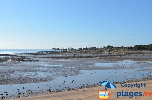 Fishery on the beach of Platère - Angoulins