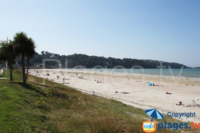 Plage de Plestin les Grèves dans les Côtes d'Armor (Bretagne)