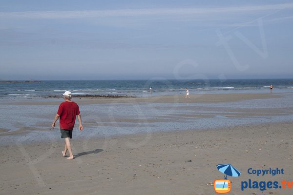 Plage de St Jean du Doigt à marée basse