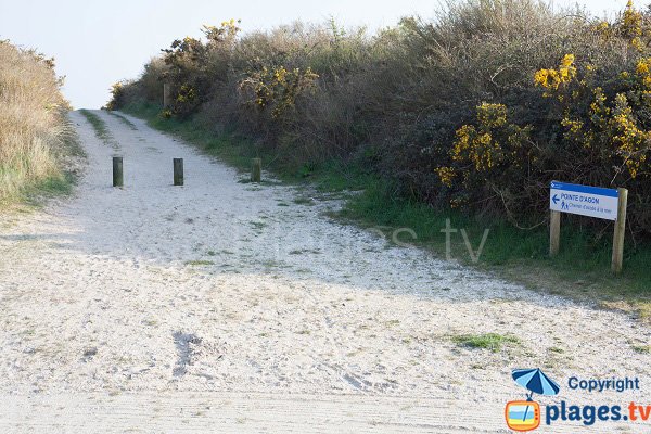 Sentier d'accès à la pointe d'Agon