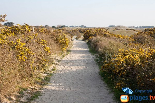 Chemin à la pointe d'Agon