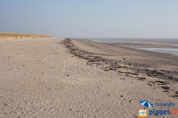 Photo de la plage de la Pointe d'Agon à Coutainville (50)