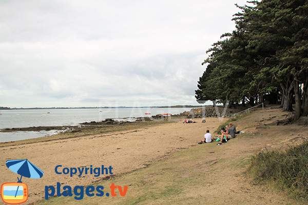 Plage à côté de la Pointe du Bill à Séné - Golfe du Morbihan