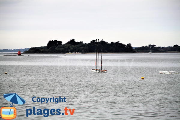 Ile de Lern - Golfe du Morbihan