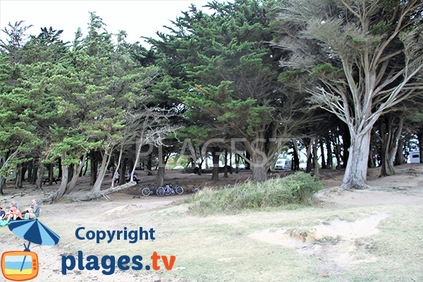 Parc ombragé à côté de la plage de la pointe du Bill à Séné