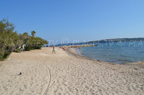 Plage de sable derrière le Palm Beach face aux îles de Lérins