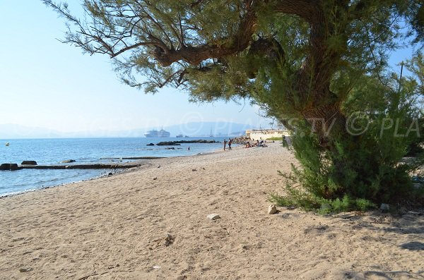 Strand Palm Beach von Cannes - Frankreich