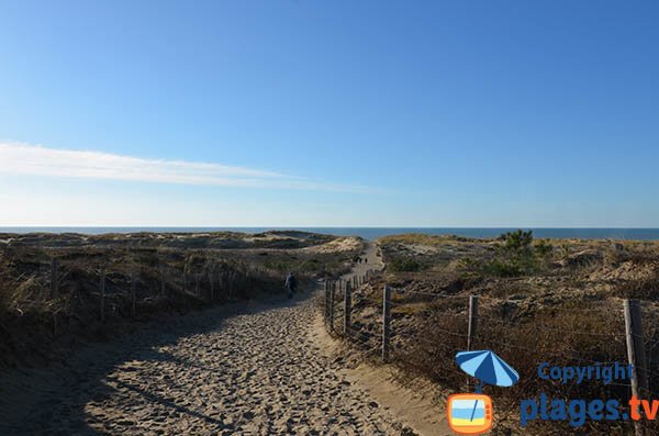 Path of Pointe Espagnole beach - La Tremblade