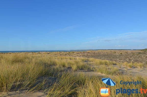 Dune of Pointe Espagnole in La Tremblade