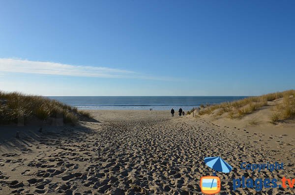 Plage De La Pointe Espagnole La Tremblade 17 Charente