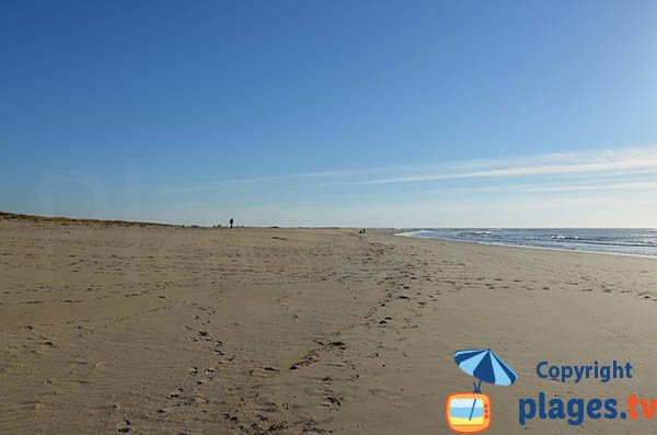 Plage sauvage à La Tremblade - pointe Espagnole