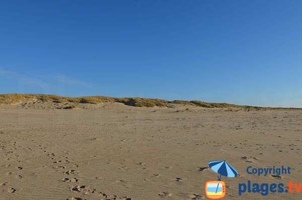 Dunes and beach of Pointe Espagnole - La Tremblade