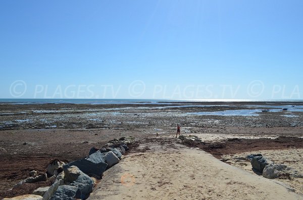 Beach in Ars en Ré