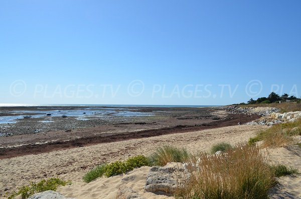 Beach of tip of Grignon in Ars en Ré in France