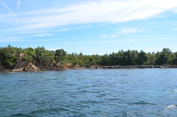 Spiaggia della Pointe du Pellegrin a Bormes les Mimosas - Francia