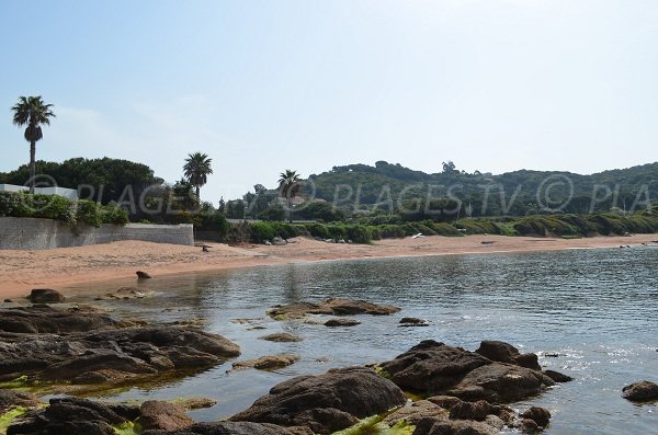 Plage sauvage à proximité du centre de Porticcio