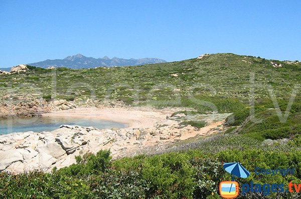 Crique au nord de la pointe de Ventilegne - Figari