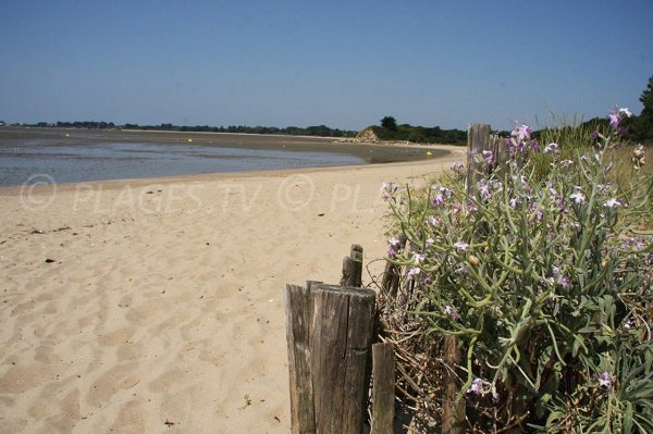 Photo of Pont Mahé beach in Assérac and view on Palandrin bay