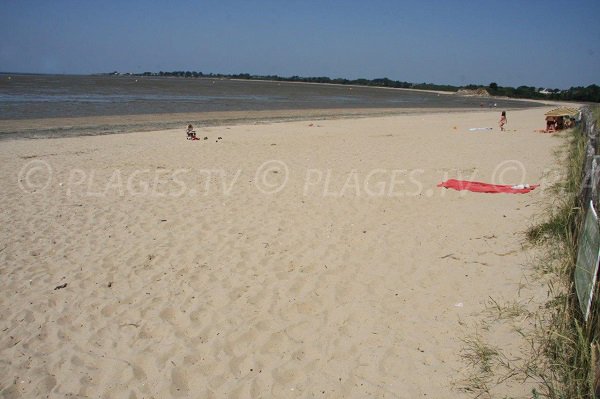 Plage à la limite Loire Atlantique Morbihan