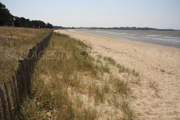 Plage de Pont Mahé à Assérac (44)