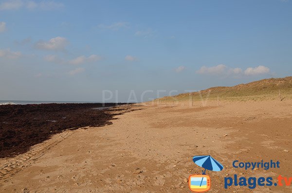 Plage du Pont d'Yeu en hiver - Notre Dame de Monts