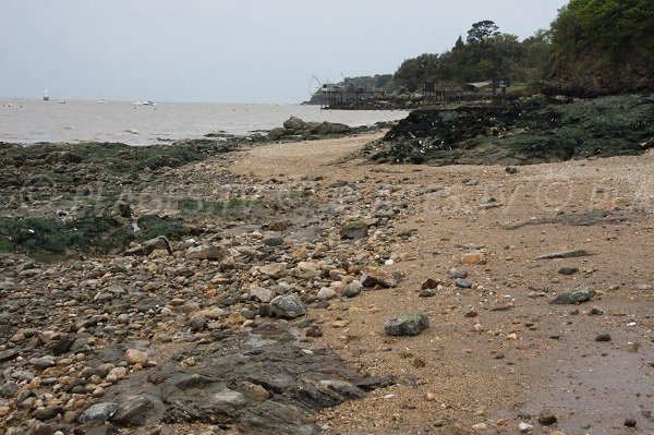 Plage de Porcé - environnement