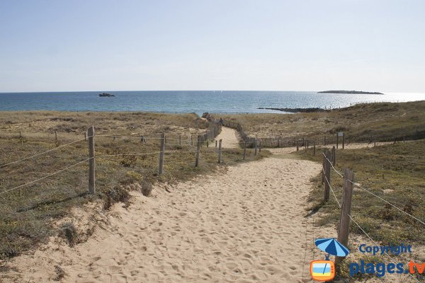 Sentier d'accès à la plage de Porh Lineneu - Erdeven