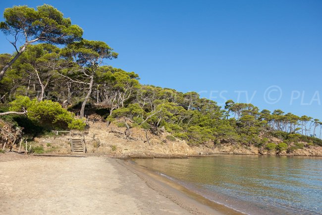 Plage sur Porquerolles