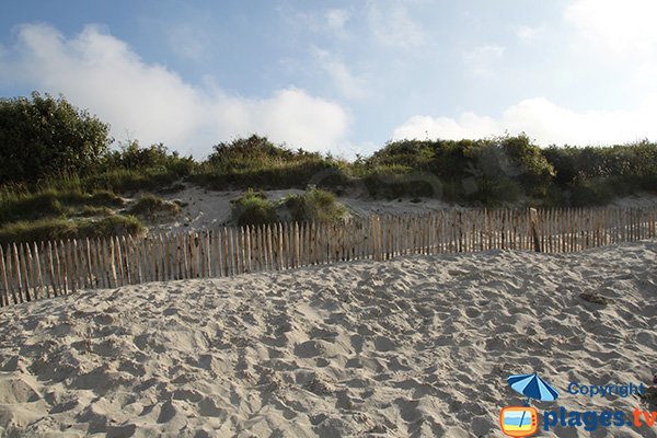 Dunes de la plage de Pors Gelen