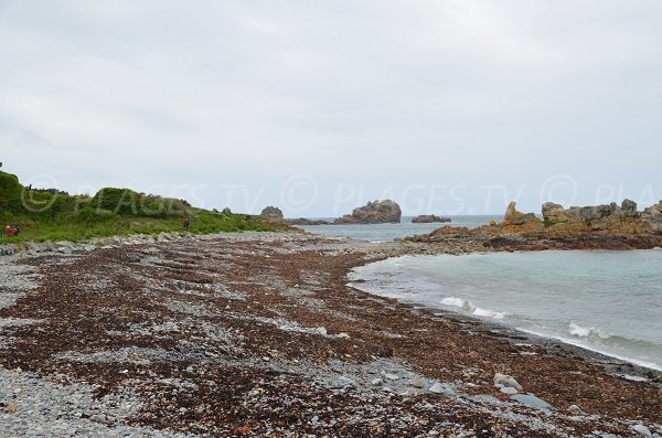 Plage de galets à proximité de la pointe du château