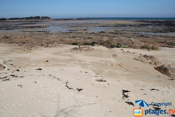 View on Callot island from the beach of Pors Pol - Carantec