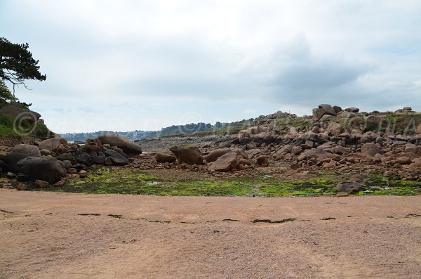 Pors Rolland beach at low tide - Ploumanach - Brittany