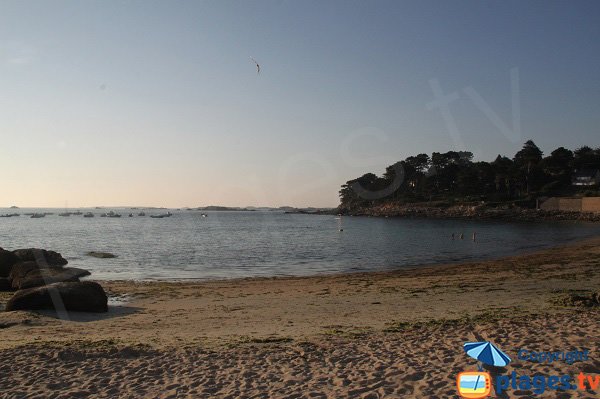 Plage à côté du port de Trébeurden