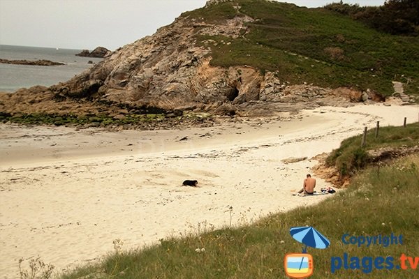 Plage protégée à Plouarzel