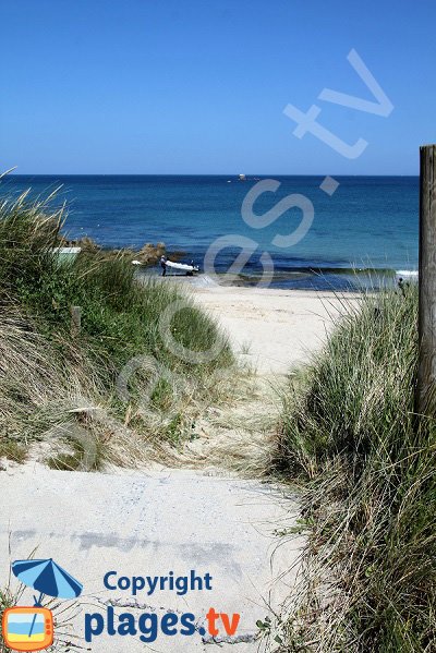 Dunes de la plage de Porsmeur à Plouescat